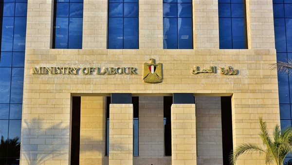 وظائف خالية اليوم.. 5242  فُرصة عمل جديدة في 50 شركة خاصة