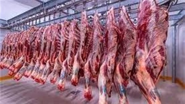 أسعار اللحوم في الأسوق اليوم الخميس 22 مايو 2025 قبل عيد الأضحى