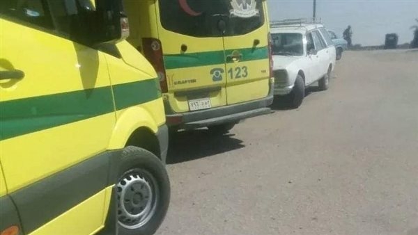 بالأسماء.. 9 مصابين في حادث انقلاب سيارة بطريق طناح في الدقهلية