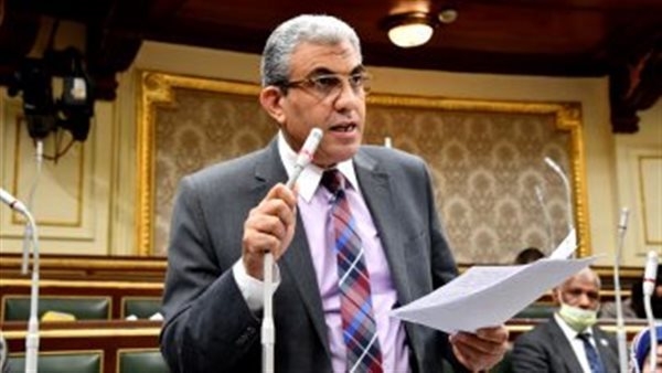 رئيس القوى العاملة بالنواب: الحزمة الاجتماعية الجديدة انفراجة كبيرة لملايين الأسر المصرية