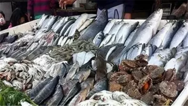 أسعار الأسماك اليوم الأحد 18 مايو 2025