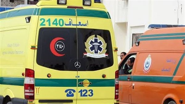 إصابة 3 أشخاص من أسرة واحدة في حادث بالطريق الزراعي بالقليوبية