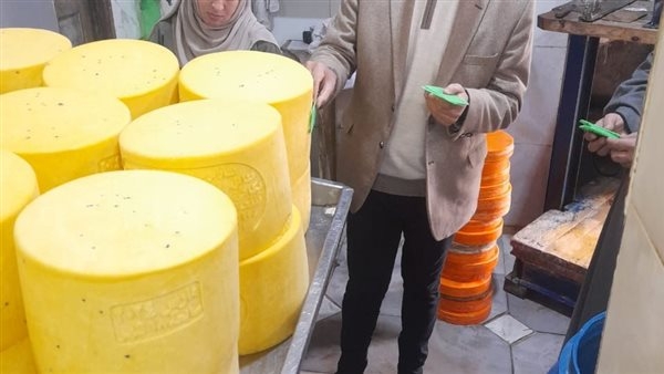 ضبط 1620 كجم جبن و14 كرتونة خل فاسدين ومجهولين المصدر بالعبور