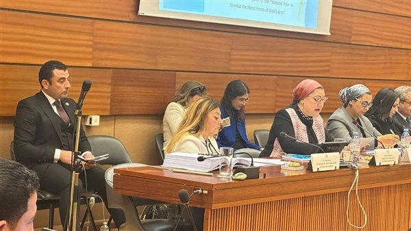 إيمان كريم : عملنا على بناء قدرات 2600  أسرة من ذوي الإعاقة بالمحافظات