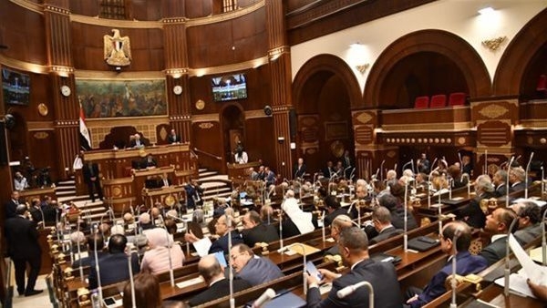 واقعة طفل البحيرة تصل البرلمان.. نائبة تطالب بعقد جلسة للوقوف على دور "القومي للطفولة" في الأزمة