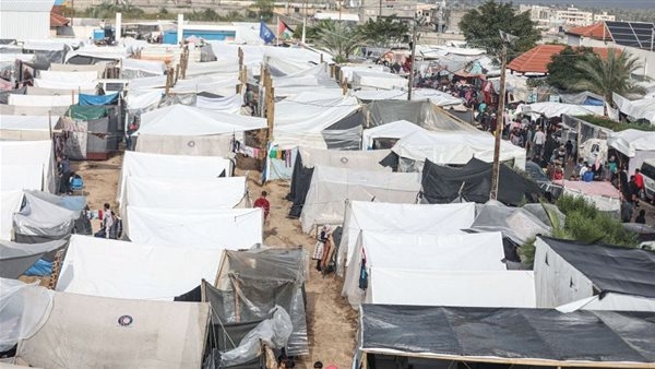 أبو جزر: الموقف الأوروبي من القضية الفلسطينية يعد محوريًا