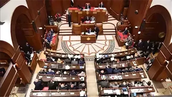 برلماني يستعرض المناقشة العامة بشأن إستراتيجية تطوير واستغلال الأصول العقارية لقطاع الأعمال العام