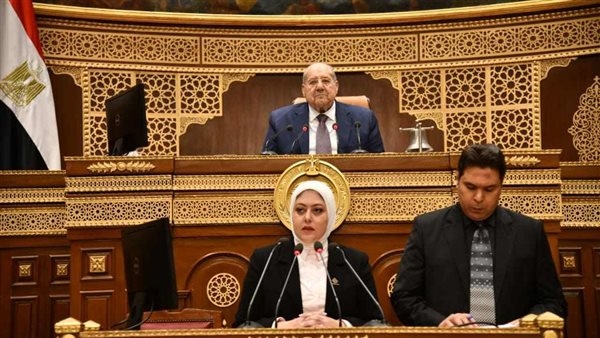 النائبة نهى زكي تستعرض دراسة حول آفاق الطاقة المتجددة في مصر