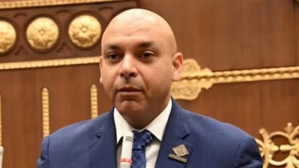 نائب التنسيقية يتساءل عن المشروعات المخططة لتنمية سيناء في مجال توليد الطاقة