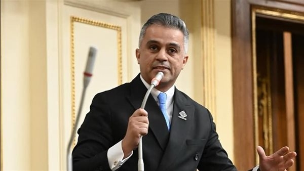 نائب التنسيقية يدعو لإنشاء منصة وقاعدة بيانات محددة لدعم شباب رواد الأعمال