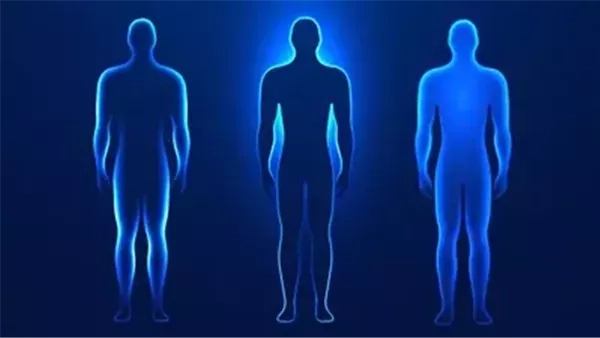 حقيقة تجديد جسم الإنسان نفسه كل 7 سنوات