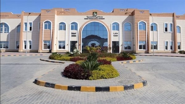 جامعة طيبة التكنولوجية بالأقصر تقدم حلولاً مبتكرة لترميم الآثار الخشبية