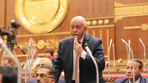 اقتراح برلماني بإنشاء منطقة حرة لجذب استثمارات العاملين بالخارج والمهاجرين المصريين
