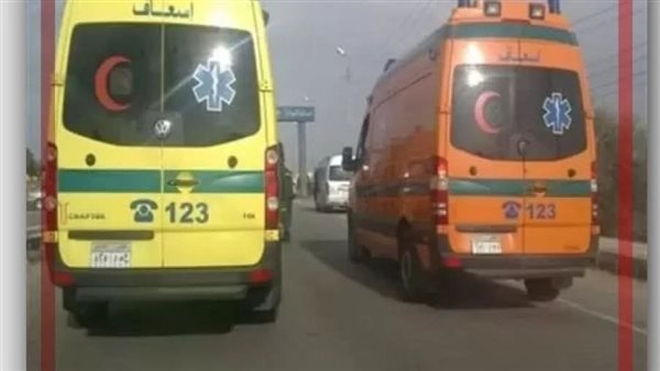 بسبب حمار.. إصابة 15 عاملا في انقلاب مني باص بالفيوم