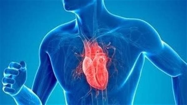 9 فحوصات مهمة تكشف عن مشكلات القلب وانسداد الشرايين.. تعرف عليها