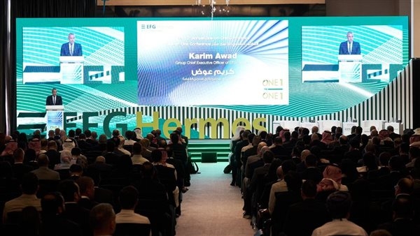 «إي إف چي القابضة» تستهدف طرحين جديدين في بورصة مصر و7 بالخليج خلال 2025