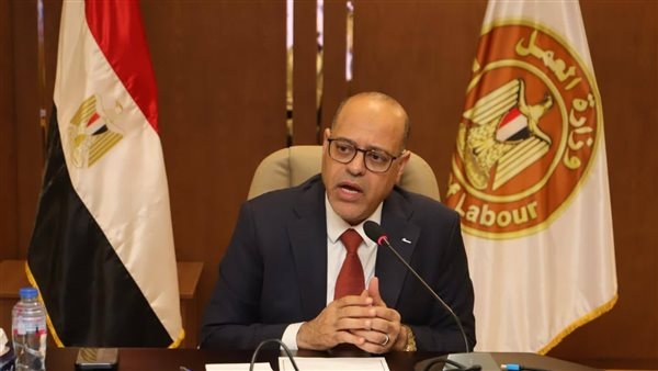 وزير العمل: 3 ملايين و96 ألف جنيه رعاية اجتماعية وصحية للعمالة غير المنتظمة خلال أبريل