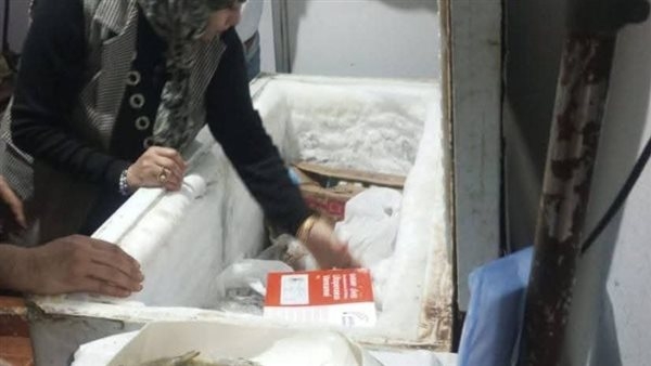 ضبط طن ونصف أسماك و565 كيلو كبدة ولحم مجهولة المصدر بالشرقية