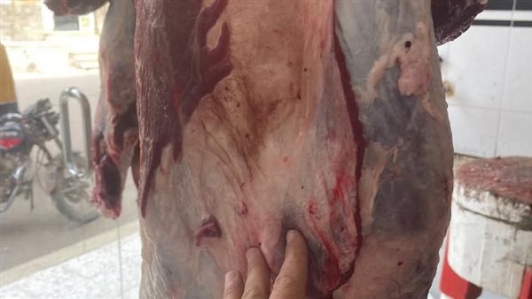 تبدأ من 270 جنيها للكيلو.. أسعار اللحوم في الأسواق اليوم السبت
