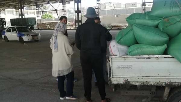 بالصور.. بدء توريد الذهب الأصفر لصوامع وشون بورسعيد