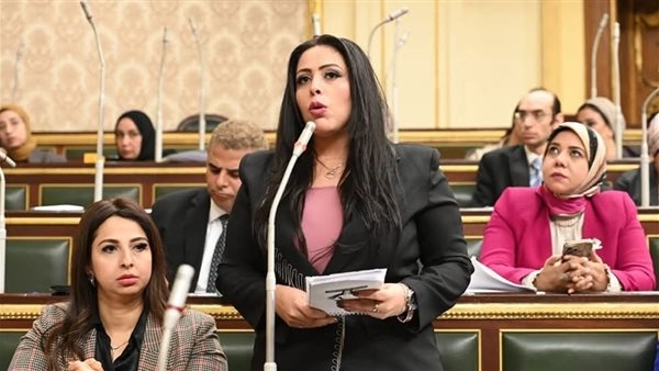اتصالات النواب: إتفاقية تخفيض إنبعاثات غاز الميثان خطوة إيجابية للتعاون في البيئة والطاقة