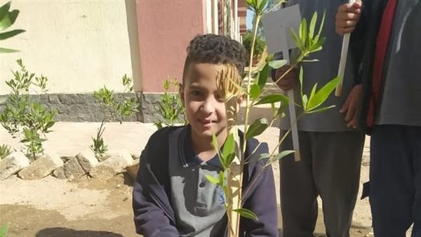 "شجرة باسمك".. مبادرة بيئية في تعليم دشنا لغرس الانتماء وحماية المناخ