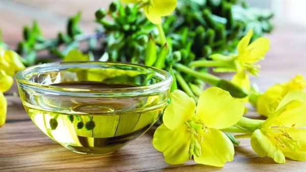 ‎زيت زهرة الربيع المسائية.. فوائده الصحية ومخاطره المحتملة