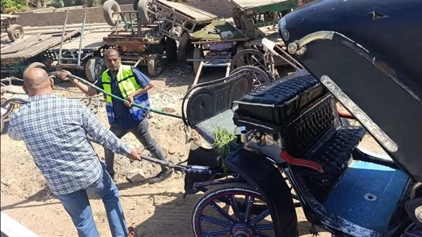 مجلس مدينة الأقصر يواصل حملاته ضد عربات الحنطور المخالفة لتعليمات المحافظ.. صور