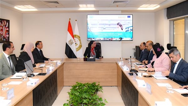 وزيرة البيئة تلتقى مع ممثلي "اليونيدو" لبحث آليات التعاون الحالي والمستقبلي
