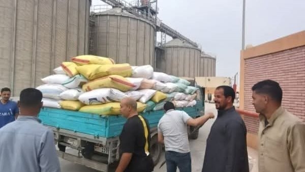 شون وصوامع محافظة الشرقية تواصل استقبال محصول القمح المحلي