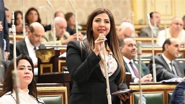 برلمانية: قانون الثروة المعدنية يحد من الاستيراد ويوفر ملياري دولار سنويا