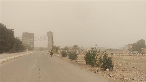العواصف الترابية.. ظاهرة خطرة تهدد صحة الإنسان والبيئة