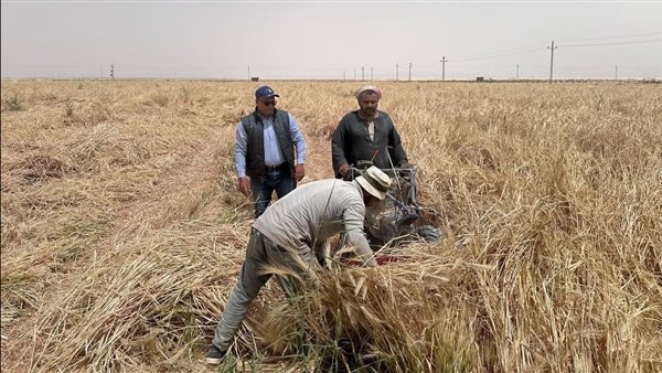 بحوث الصحراء يواصل المرور الميداني على التجمعات الزراعية بشمال ووسط سيناء