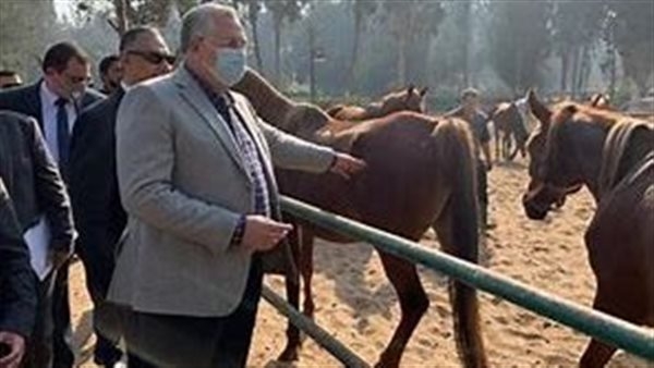 وزير الزراعة: المقر الجديد لمحطة "الزهراء للخيول" بالعاصمة الإدارية أنشئ بأحدث التقنيات