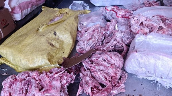 ضبط 10 أطنان هياكل دواجن غير صالحة للاستهلاك الآدمي بالخانكة