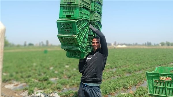 «يحيى شعبان» نجم بلا أضواء وكفاح لا يعرف الراحة