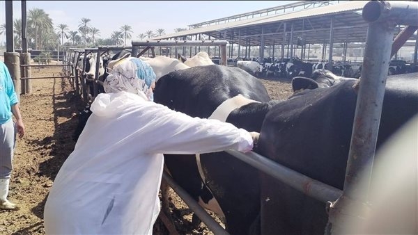 "الزراعة" تكثف جهود رصد الأمراض الوبائية الحيوانية