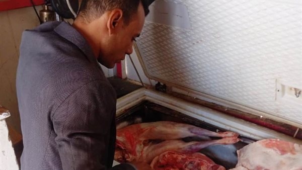 ضبط 200 كيلو لحوم غير صالحة للاستهلاك الآدمي بأسوان