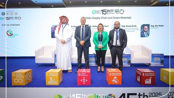 هشام الجمل: 42% من الكهرباء من الطاقة المتجددة بحلول 2035