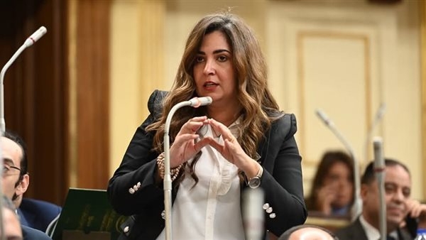 بين حرية الرأي وفوضى الفتاوى.. هل يهدد قانون الفتوى الصحفيين؟.. وزير الشئون النيابية يرد
