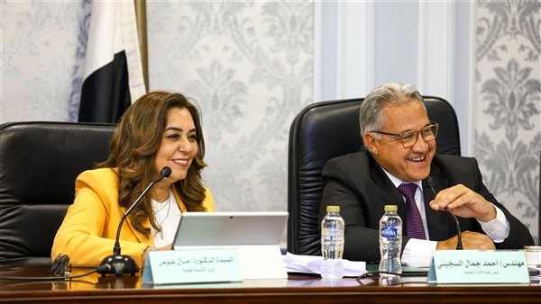 منال عوض: 4.3 مليار جنيه إجمالي موازنة الوزارة للعام المالي الجديد