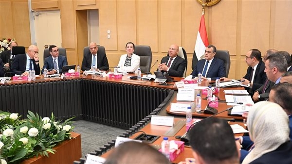 الوزير: دراسة طلبات المناطق الحرة والموافقة الذهبية بقرار من المجموعة الوزارية