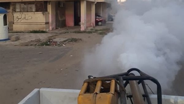 بالصور.. حملات مكثفة لمكافحة "الناموس" ببورفؤاد في بورسعيد