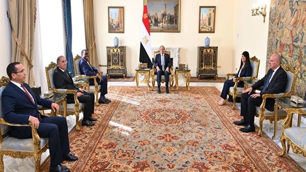 تفاصيل لقاء السيسي ورئيس مجموعة البنك الأفريقي للتنمية.. صور