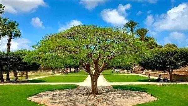 حدائق انطونيادس بالإسكندرية.. أقدم الحدائق المصرية