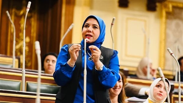 نائبة التنسيقية: وافقنا على منحة لدعم استراتيجية السكان.. و"تنظيم الأسرة" أولوية وطنية