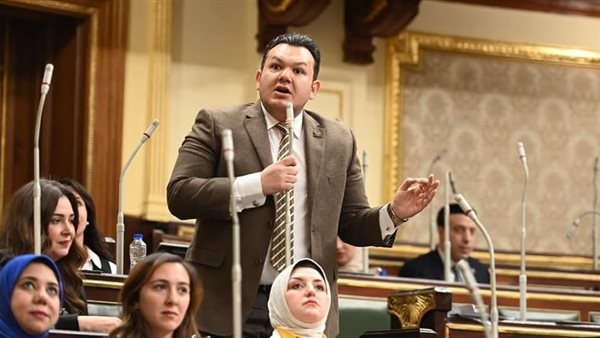 نائب التنسيقية: "كل جنيه يُضخ لدعم الاستراتيجية السكانية استثمار في مستقبل مصر"