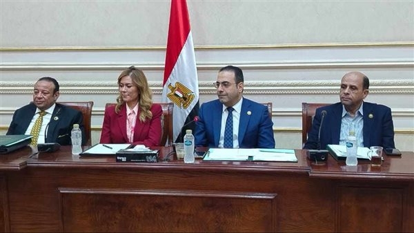 28 توصية.. رياضة النواب تطالب الأكاديمية الوطنية للتدريب بتوجيه برامج متخصصة لشباب المصريين بالخارج