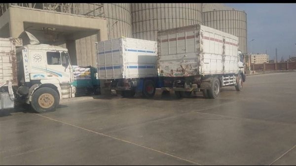 استقبال 465521 طن قمح بشون وصوامع الشرقية