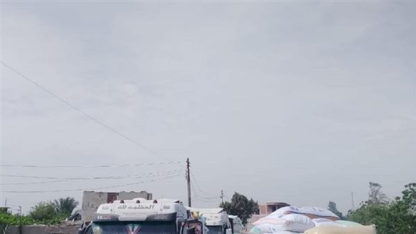 انتظام توريد القمح لشون وصوامع الشرقية